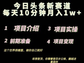 2024最新今日头条小赛道,0投入易上手