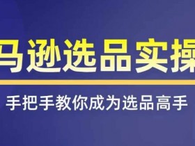 亚马逊选品实操课程,快速掌握亚马逊选品的技巧,覆盖亚马逊选品所有渠道