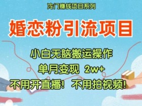 小红书婚恋粉引流,不用开直播,不用拍视频,不用做交付【揭秘】