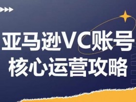 亚马逊VC账号核心玩法解析,实战经验拆解产品模块运营技巧,提升店铺GMV,有效提升运营利润