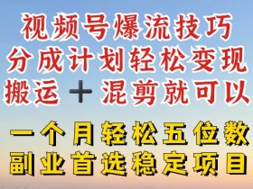 视频号爆流技巧,分成计划轻松变现,搬运 +混剪就可以,一个月轻松五位数稳定项目【揭秘】