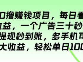 最新0撸赚钱项目,每日看广告得收益,一个广告三十秒五毛钱,轻松单日100+