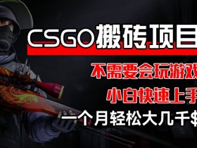 CSGO 装备搬砖项目,操作简单,不需要会玩游戏,小白也能快速上手,一个月轻松大几千【揭秘】