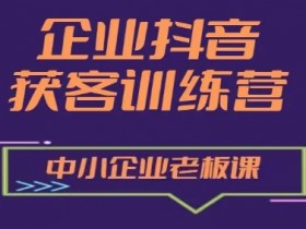 企业抖音营销获客增长训练营,中小企业老板必修课