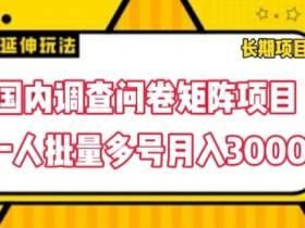 国内调查问卷矩阵项目,一人批量多号月入3000【揭秘】