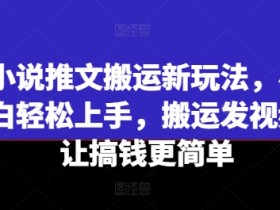 小说推文搬运新玩法,小白轻松上手,搬运发视频让搞钱更简单