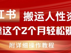 小红书搬运人性资料,有人靠这个2个月轻松赚11w,附教程【揭秘】
