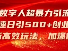 AI数字人超暴力引流法,极速日引500+创业粉,最新高效玩法,加爆微信【揭秘】