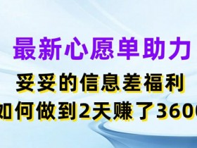 最新心愿单助力,妥妥的信息差福利,两天赚了3.6K【揭秘】