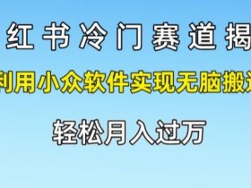 小红书冷门赛道揭秘,利用小众软件实现无脑搬运,轻松月入过万