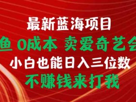 闲鱼卖会员,0成本,当日出单 日入1.5k,持续复购