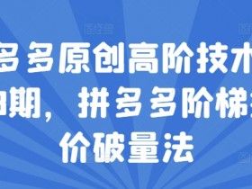 拼多多原创高阶技术第38期,拼多多阶梯提价破量法
