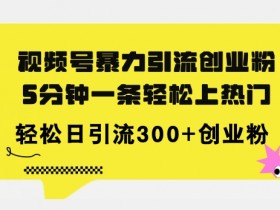 全新视频号暴力引流创业粉，三分钟一条简单上热门，日引300+创业粉