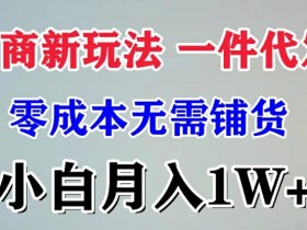 电商新玩法 一件代发,零成本无需铺货,小白月入1W+