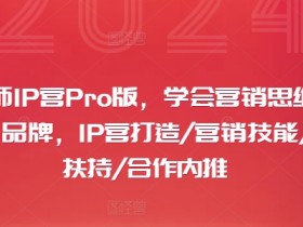 摄影师IP营Pro版,学会营销思维+打造个人品牌,IP营打造/营销技能/流量扶持/合作内推