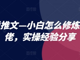 小说推文—小白怎么修炼成大佬,实操经验分享