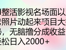 AI整活影视名场面以及老照片动起来项目大揭秘,无脑撸分成收益