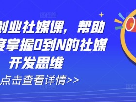 外贸创业社媒课,帮助你深度掌握0到N的社媒开发思维