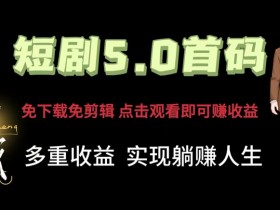 短剧5.0首码,免下载免剪辑,点击观看即可赚钱,多重收益方式,实现躺赚人生