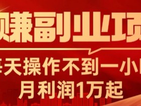 躺赚副业项目,每天操作不到一小时,月利润1万起,实战篇