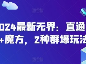 2024最新无界:直通车+魔方,2种群爆玩法