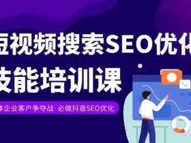 实体抖音搜索(抖音SEO)变现课,短视频搜索seo优化技能