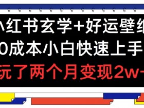 小红书玄学+好运壁纸玩法,0成本小白快速上手,玩了两个月变现2w+ 【揭秘】