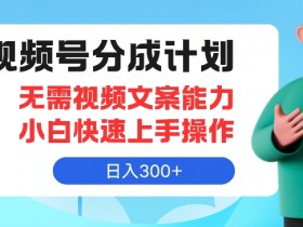 视频号分成计划,无需视频文案能力小白快速上手操作,日入300+