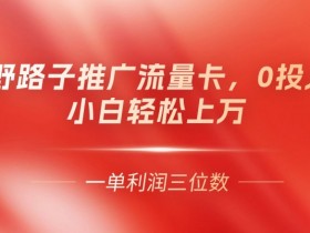 野路子推广流量卡,一单利润上百,0投入,小白轻松上万