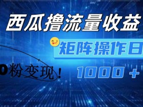 西瓜视频撸流量,简单上手,0粉变现矩阵操作,日入1000+【揭秘】