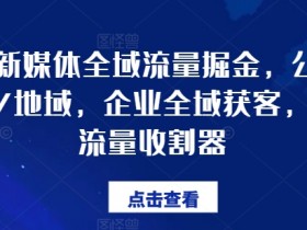 企业新媒体全域流量掘金,公域/私域/地域,企业全域获客,百亿流量收割器