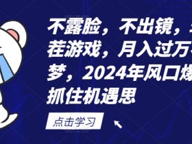 不露脸,不出镜,玩转找茬游戏,月入过万不是梦,2024年风口爆发,抓住机遇【揭秘】