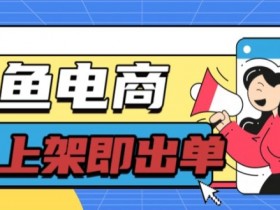 长期稳定的闲鱼无货源电商单店铺日入300+爆款货源 上架即出单