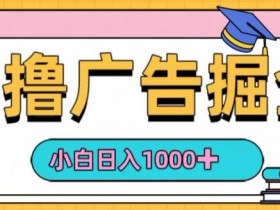 0撸无门槛项目,玩赚广告掘金,轻松日入1k,可批量矩阵,可团队推广