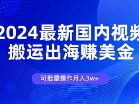 2024最新国内视频搬运出海赚美金，可批量操作月入3w