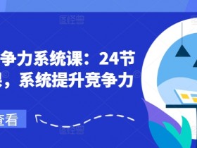 职场竞争力系统课:24节职场课,系统提升竞争力