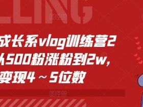 个人成长系vlog训练营2期,从500粉涨粉到2w,变现4~5位数