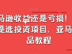 亚马逊收益还是亏损!选品就是选投资项目,亚马逊选品教程
