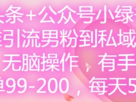 微头条+公众号小绿书,精准引流男粉到私域卖套图,无脑操作,有手就行,每单99-200,每天5单