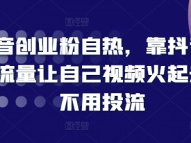 抖音创业粉自热,靠抖音自然流量让自己视频火起来,不用投流