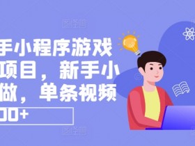 抖音快手小程序游戏发行人项目,新手小白都可做,单条视频收益9000+