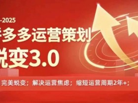 2024-2025拼多多运营策略蜕变3.0,0~1完美蜕变,解决信息焦虑