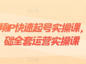 短视频IP快速起号实操课,0基础全套运营实操课,爆款内容设计+粉丝运营+内容变现