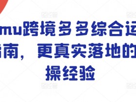 Temu跨境多多综合运营指南,更真实落地的实操经验