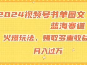 2024视频号书单图文蓝海赛道,火爆玩法,赚取多重收益,小白轻松上手,月入上万【揭秘】