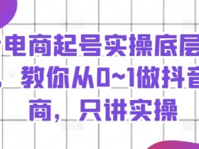 抖音电商起号实操底层逻辑课,教你从0~1做抖音电商,只讲实操