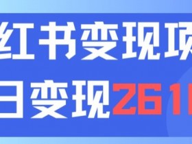利用小红书卖中考资料一天引流150+变现2600元