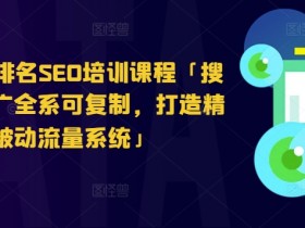 搜索引擎排名SEO培训课程「搜索引擎推广全系可复制,打造精准被动流量系统」