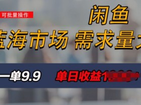新手也能做的咸鱼项目,每天稳赚1k,蓝海市场爆发