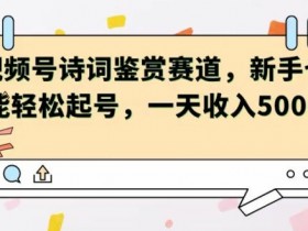 视频号赛道——诗词鉴赏，新手也能轻松起号，一天收入5张
